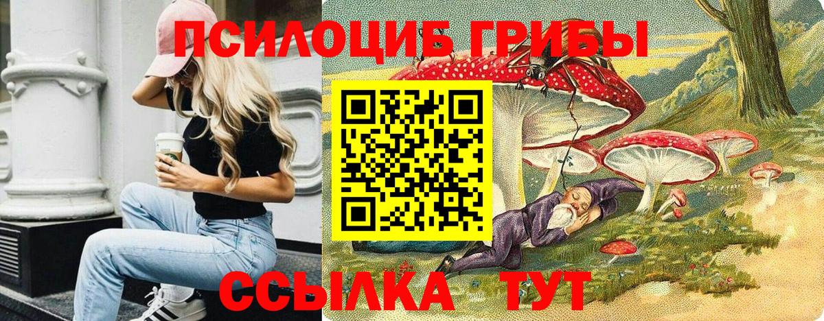 Тихвин  Псилоцибиновые грибы мицелий  Вход с VPN 